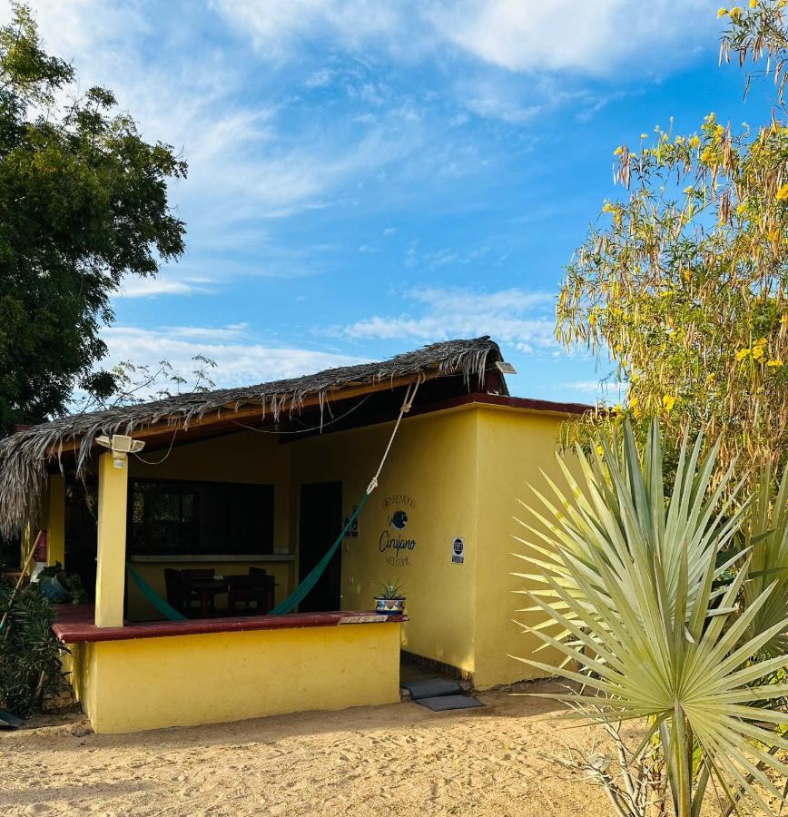 Ferienwohnung Bungalow Cirujano Cabo Pulmo Exterior foto